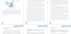 write technical reports on solar pv, bess and energy systems