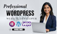 design, redesign wordpress ecommerce website, website development, online store