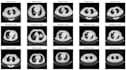 do image processing, signal processing and electronics tasks