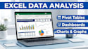 do professional data analysis in excel