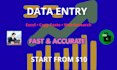 accurate data entry and excel tasks