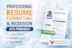 create a professional CV, resume redesign