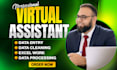 handle data entry, excel spreadsheets, and financial data accurately