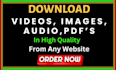do professional upload and download service