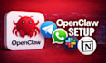 install and setup openclaw professionally