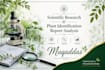 be your expert virtual botany tutor with research assistant