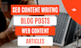 write SEO content writing blog posts articles web content
