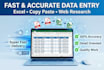 do fast accurate data entry, excel and copy paste and web resarch