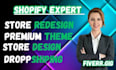 build professional shopify store with powerful store setup