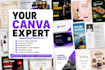 be your pro canva design expert