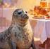 animal animation videos using ai and create dramatic edge