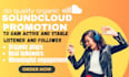 do soundcloud promotion through reposts organically