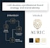 develop a professional brand strategy and brand identity