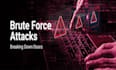 brute force, cyber attack, malware removal, information security, ddos attack