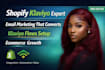 set up high converting klaviyo email marketing flows for shopify klaviyo