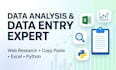 do fast and accurate data entry, copy paste and data analysis in excel