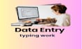 do professional data entry and image background removal