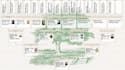 do expert french genealogy research for your family tree