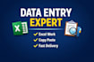 do accurate data entry, excel work and data processing