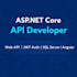 build asp net core web API with jwt authentication and frontend with angular