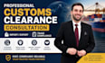 provide professional customs clearance consultation for import and export