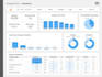 provide professional data analysis and business insights