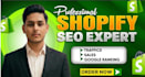 shopify on page SEO for low traffic store