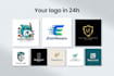 generate a professional custom logo in 24 hours