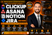set up and automate asana, clickup, jira, or notion workspace for productivity