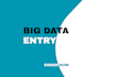 do all big data entry project
