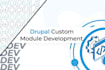 develop a professional custom drupal module for your specific requirements