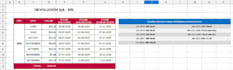 do professional financial data management and payment tracking