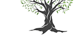 creative tree logo design modern, minimal , professional