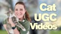 create authentic cat ugc video ads for your pet brand