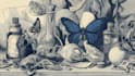 do medical and scientific illustrations