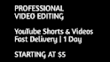 professional youtube video editing in 24 hours