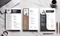 make professional CV and infographic resume