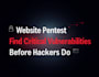 do professional web application penetration testing and security audit