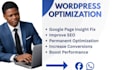 do wordpress and shopify speed optimization for google page speed insight