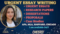 do urgent essay writing as an essay writer