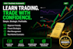 teach trading strategies and analysis