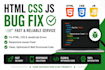 fix HTML CSS and javascript bugs in your website