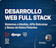 develop a professional full stack web application