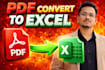 pdf convert to excel , data cleaning, data entry