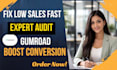 audit gumroad products to fix low sales boost conversion