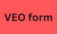 create professional and responsive veo form