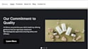 design and develop professional websites