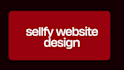 sellfy website design and redesign