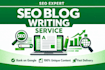 write SEO blog articles and website content