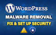 remove malware from wordpress and secure your website